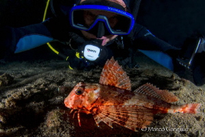 Selfie with gurnard fish by Marco Gargiulo 